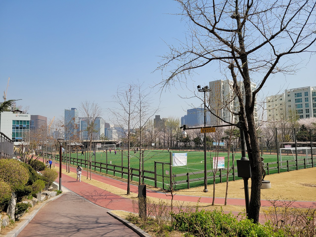以明星阵容