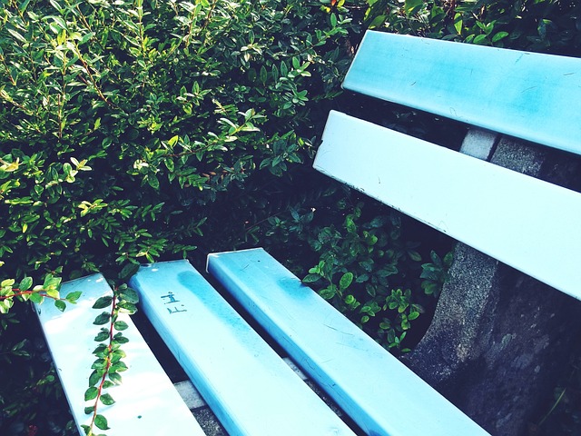 手表现亮眼 手表现亮眼