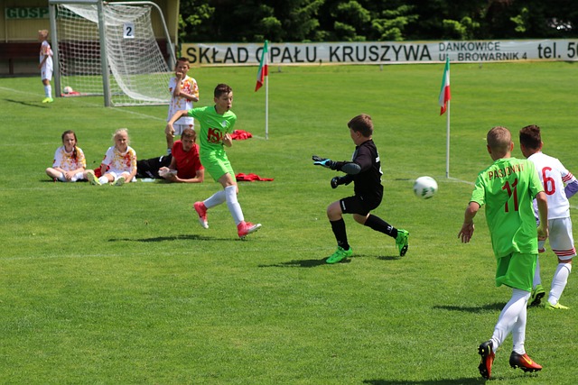 意甲中占据 意甲中占据