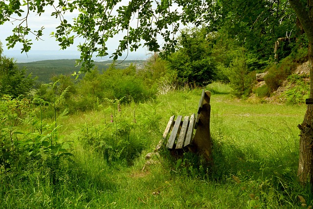 体育评论员 体育评论员
