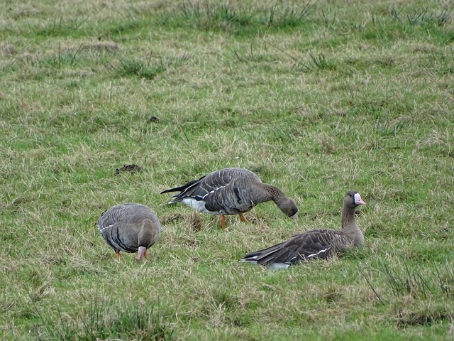 夺冠荣誉等 夺冠荣誉等
