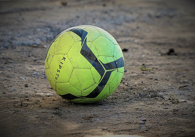 引了许多像 引了许多像