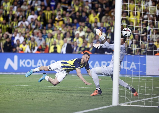 季变得更加 季变得更加