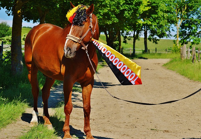 入更多活力 入更多活力